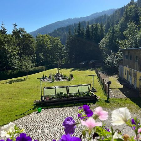 Appartement Haus Rosina à Mühlbach am Hochkönig Extérieur photo