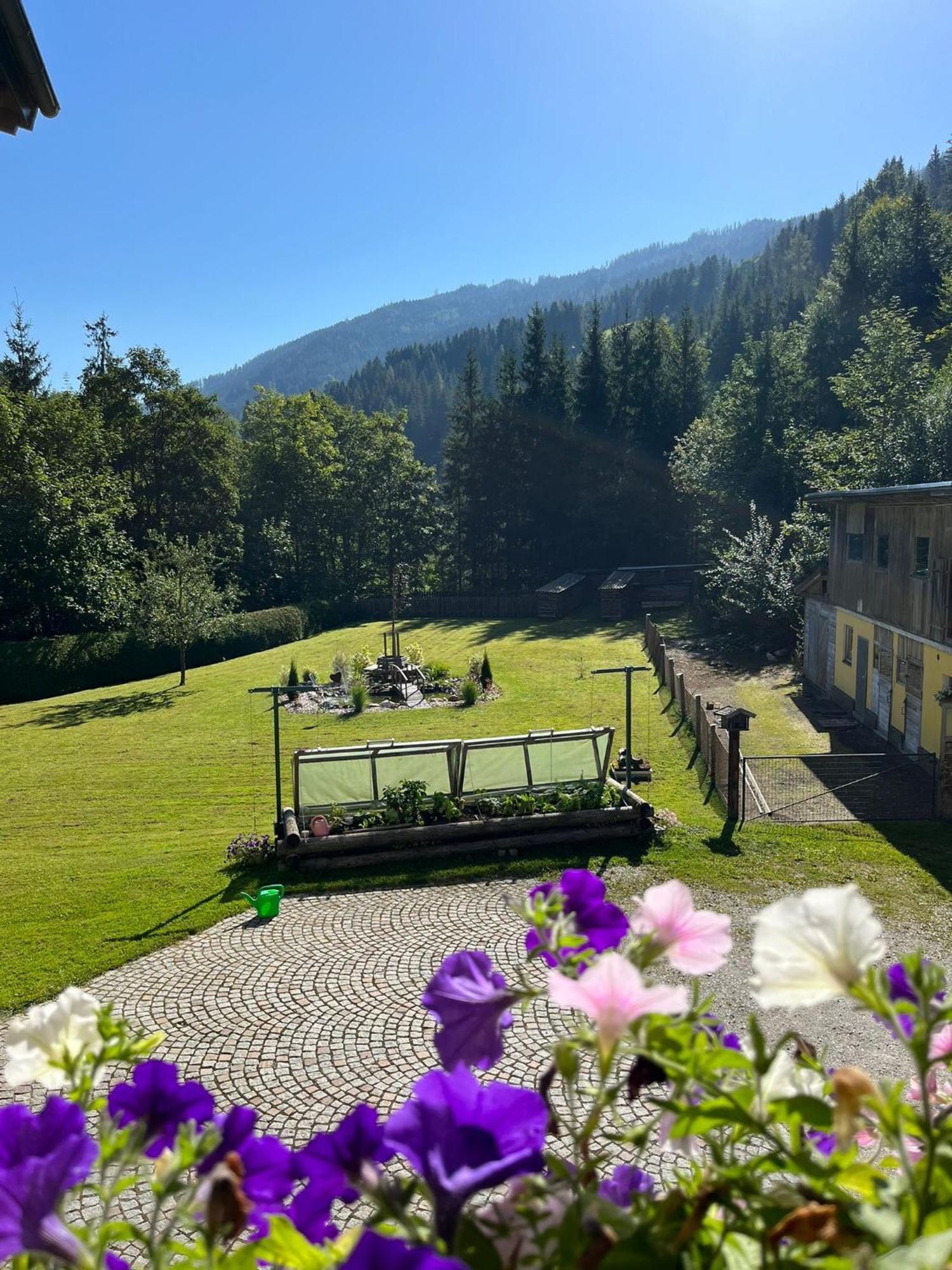 Appartement Haus Rosina à Mühlbach am Hochkönig Extérieur photo